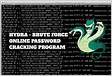 Go Linux Brute force password cracking tool Hydra detaile